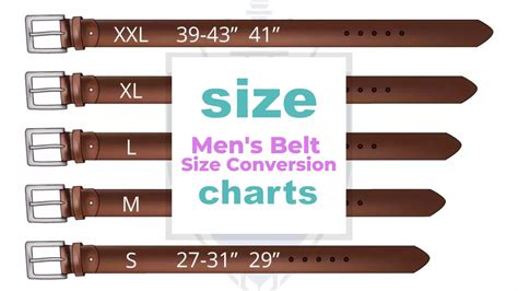 coach belt size chart